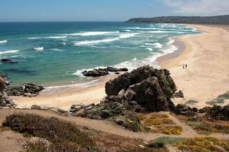 Hombre fallece por ahogamiento en playa no apta en Algarrobo