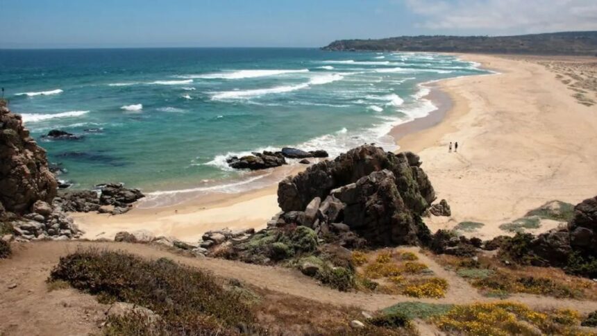 Hombre fallece por ahogamiento en playa no apta en Algarrobo