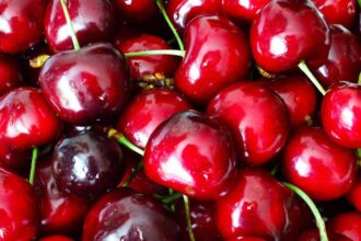 Cerezas chilenas rechazadas en China por mal estado de embarque