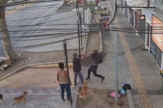 Homicidio en El Bosque: Detenidos los agresores tras discusión mortal