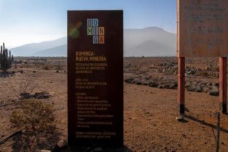 Recurso de Apelación del SEA contra Fallo del Tribunal Ambiental por Proyecto Minero-Portuario Dominga