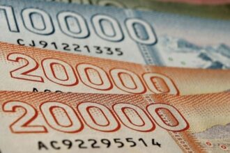 Aporte Familiar Permanente: Fechas de pago y beneficiarios en Chile