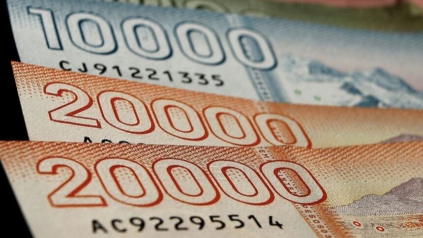 Aporte Familiar Permanente: Fechas de pago y beneficiarios en Chile