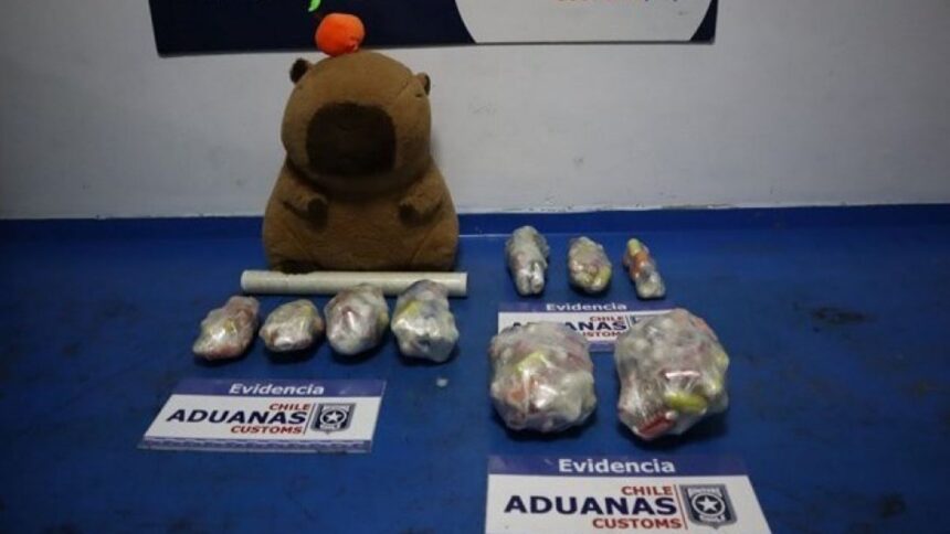 Frustran tráfico de drogas en aduana de El Loa, Bolivia-Chile