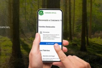 Carabineros activan Comisaría Virtual para salvoconductos durante apagón masivo