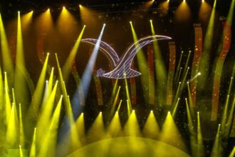 Reprogramación de artistas en Festival de Viña 2025 por corte de luz