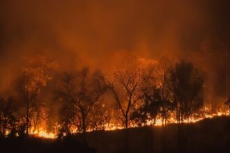Incendio forestal amenaza Melipilla: Bomberos y CONAF en acción