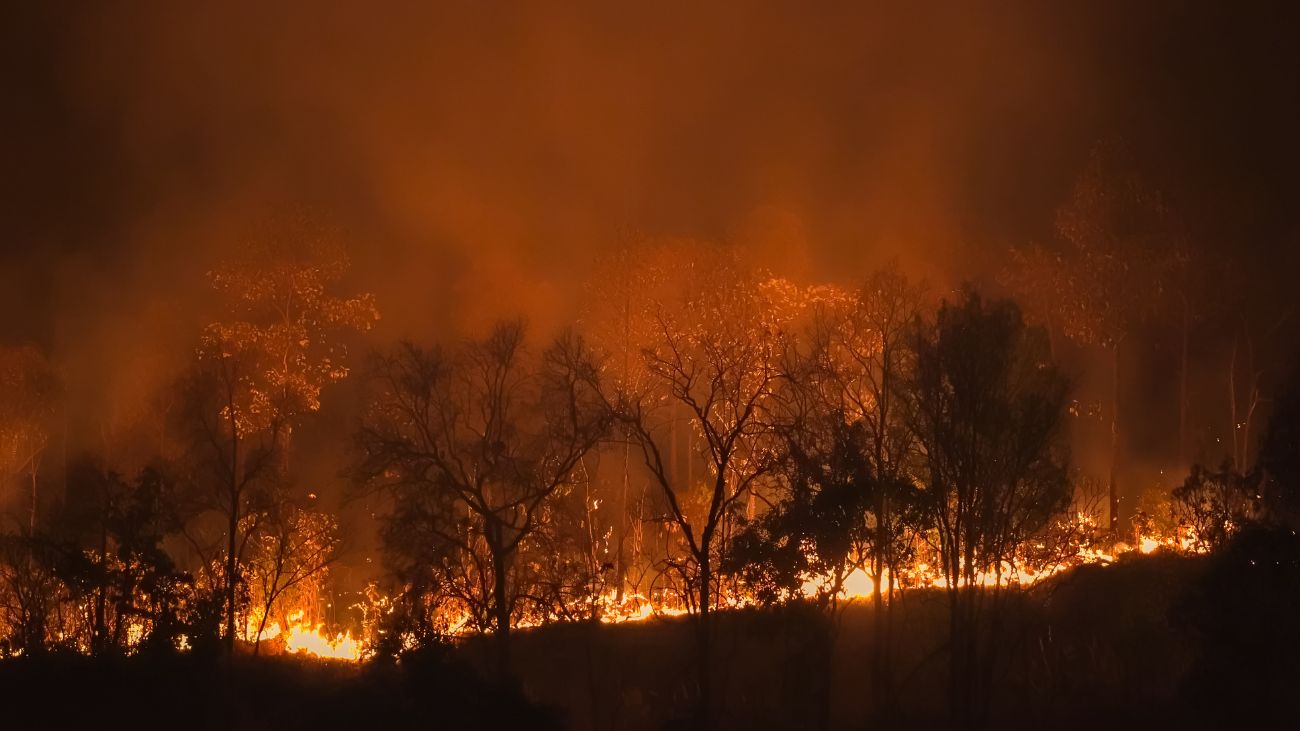 Incendio forestal amenaza Melipilla: Bomberos y CONAF en acción
