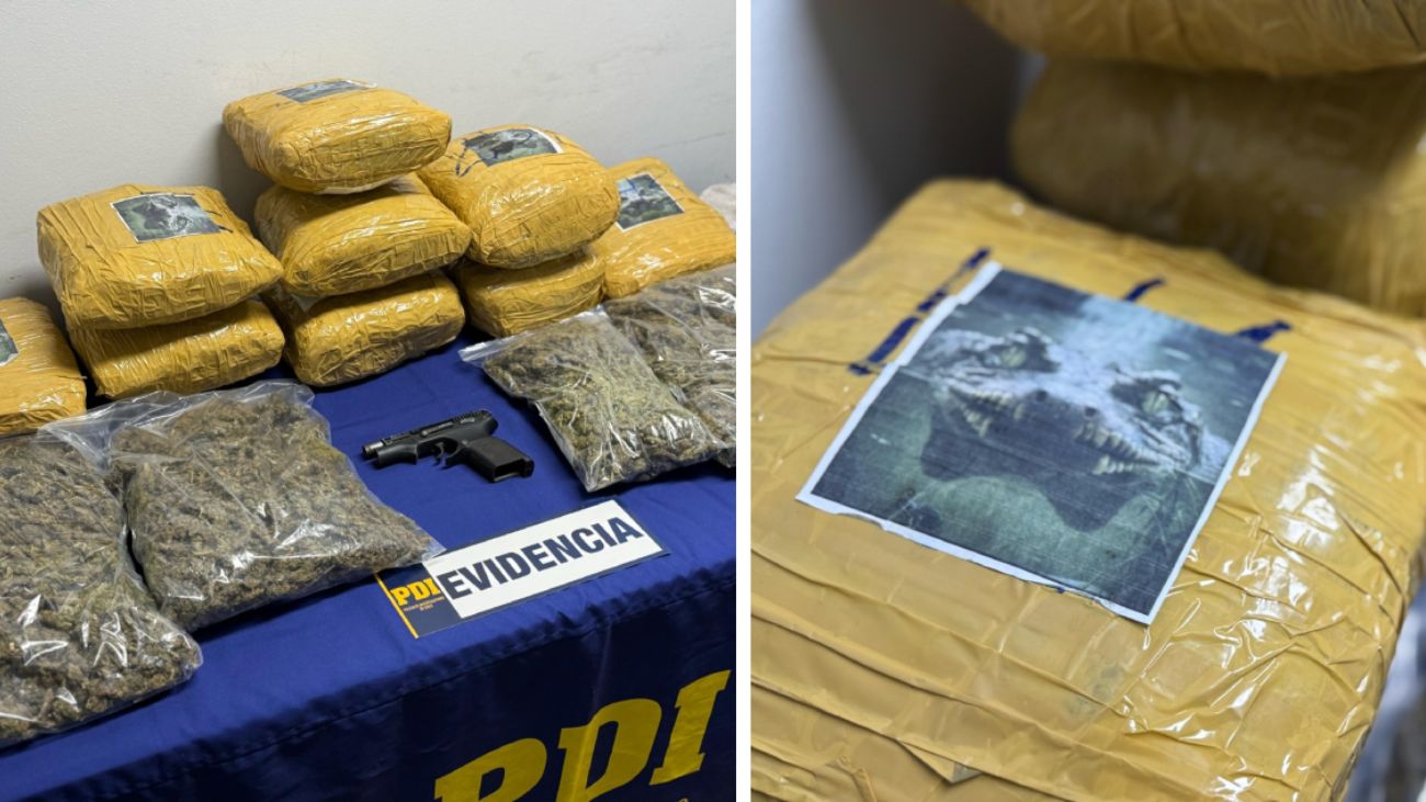 Operación Cocodrilo: detenidos colombianos con droga en Chile por $117.5 millones Operación Cocodrilo: detenidos colombianos con droga en Chile por $117.5 millones