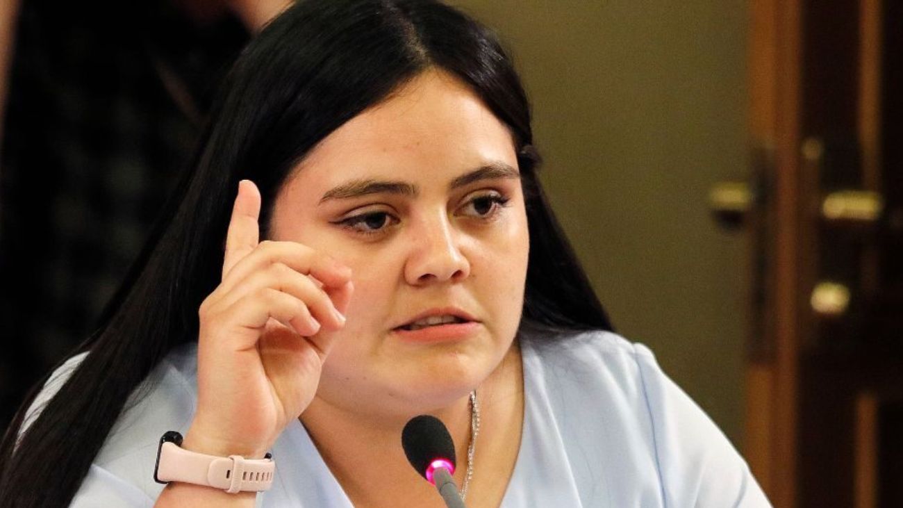 Diputada Sara Concha propone alerta SAE para cortes de luz masivos Diputada Sara Concha propone alerta SAE para cortes de luz masivos
