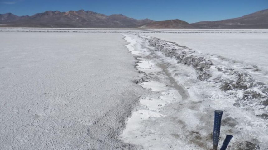 Estabilidad del valor del carbonato de litio en US$10.000/ton: proyecciones hasta el 2025