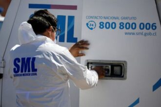 Tragedia en Pemuco: Hombre fallece tras caída de rama de árbol