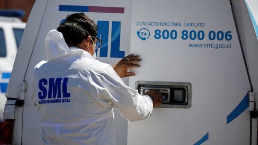 Tragedia en Pemuco: Hombre fallece tras caída de rama de árbol