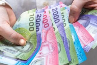 Subsidio al Empleo Joven: Beneficios y modalidades de este viernes