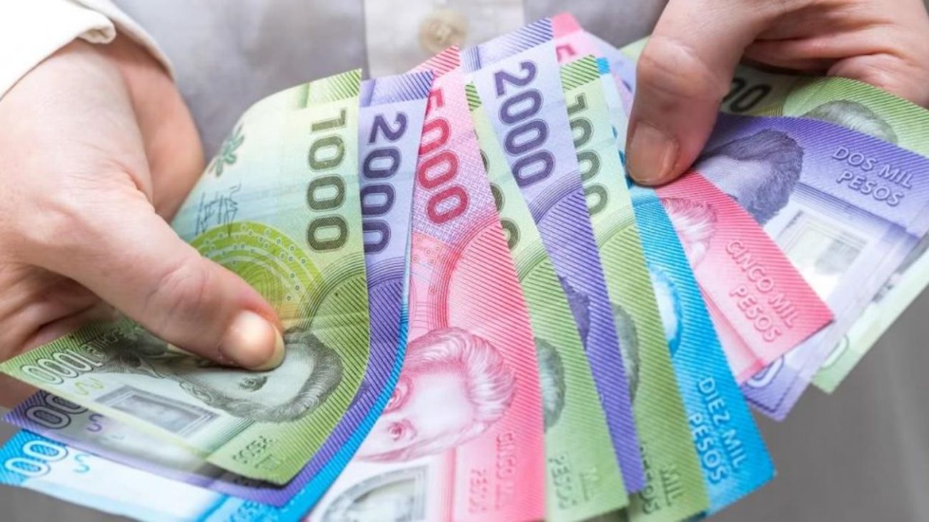 Subsidio al Empleo Joven: Beneficios y modalidades de este viernes Subsidio al Empleo Joven: Beneficios y modalidades de este viernes