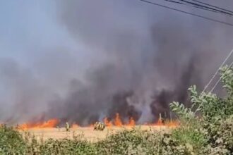 Incendio forestal en Mulchén obliga a evacuar sector Población Bureo