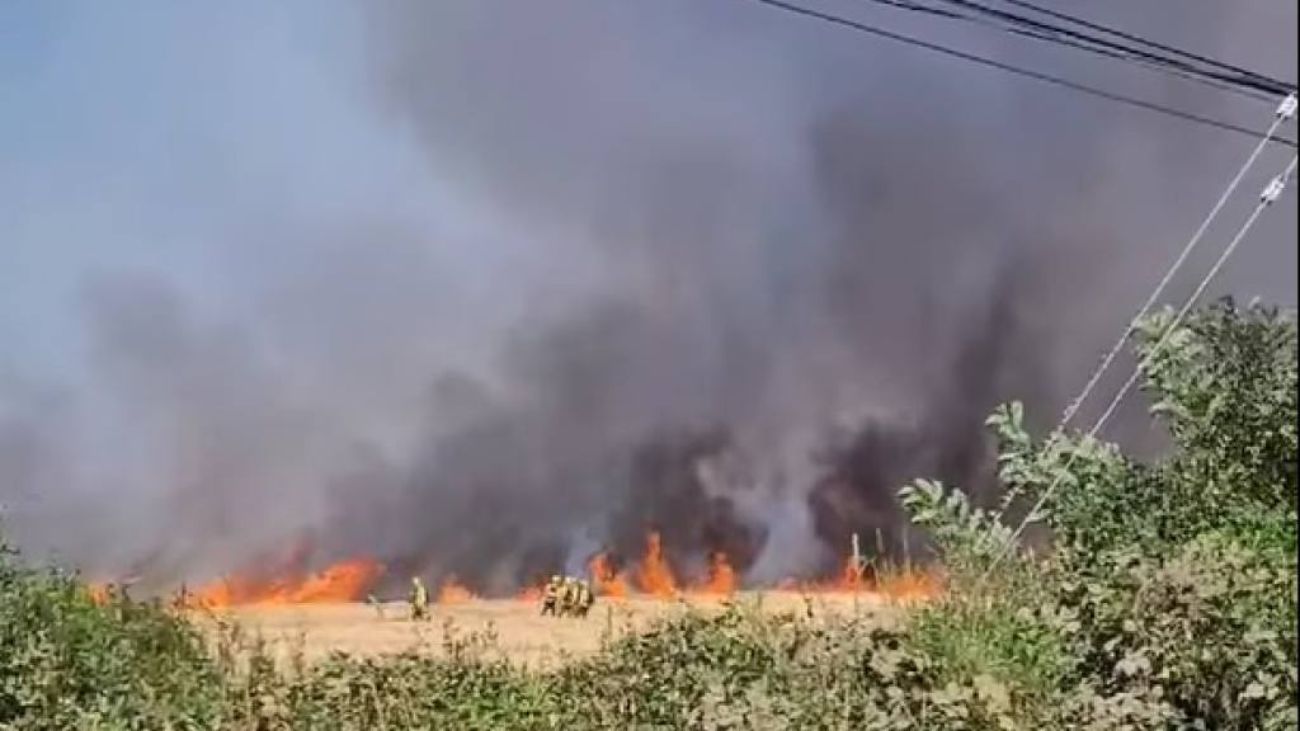 Incendio forestal en Mulchén obliga a evacuar sector Población Bureo Incendio forestal en Mulchén obliga a evacuar sector Población Bureo