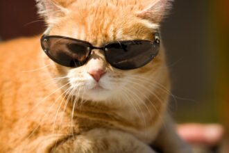 Cambios meteorológicos: descenso de temperaturas y lluvias en Chile este fin de semana