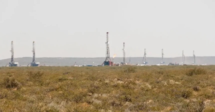 Inversión de $1.100 millones en Vaca Muerta para producir 20.000 barriles diarios