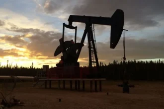 Desempeño petrolero excepcional en Argentina: tras toma de ganancias se mantienen positivas.