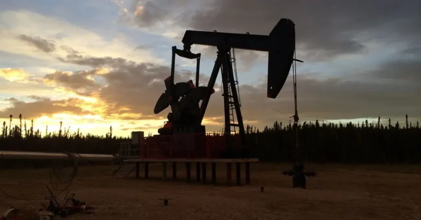 Desempeño petrolero excepcional en Argentina: tras toma de ganancias se mantienen positivas.