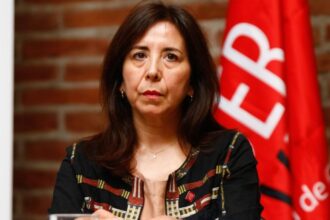 Pamela Figueroa, primera mujer presidenta del Servicio Electoral de Chile