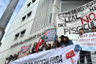 Comunidades mapuche presentan recurso legal para detener piscicultura en río San Pedro