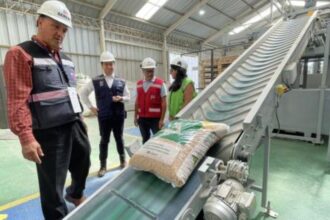 Provincia de Bío Bío: líder en producción de pellet sostenible