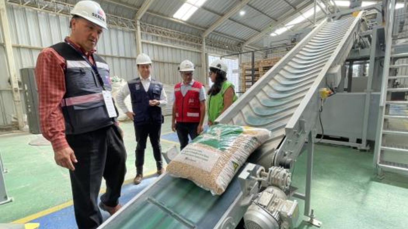 Provincia de Bío Bío: líder en producción de pellet sostenible Provincia de Bío Bío: líder en producción de pellet sostenible