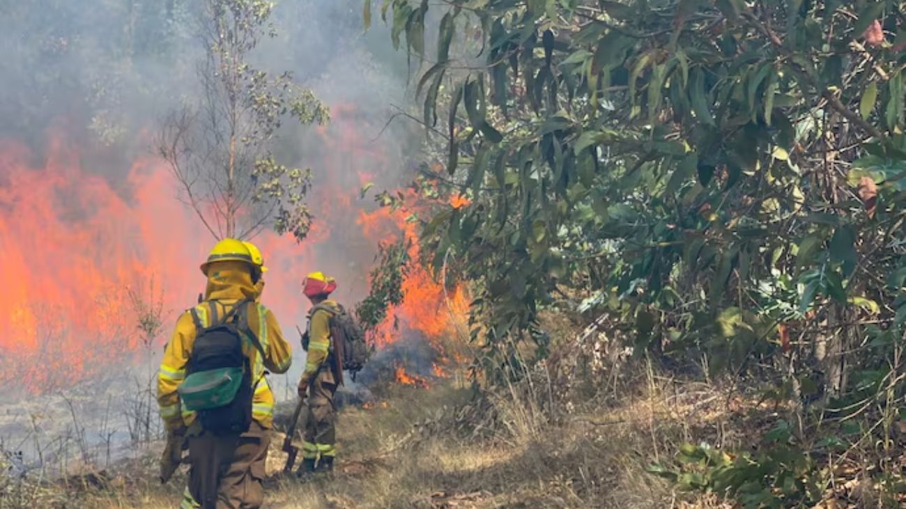 Aumento de incendios forestales por quemas agrícolas descontroladas en La Araucanía Aumento de incendios forestales por quemas agrícolas descontroladas en La Araucanía