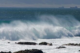 Aviso de Marejadas en la Costa Norte de Chile: ¡Precaución!
