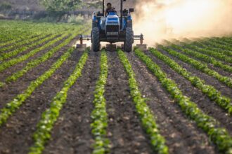 Chile activa grupo ante aranceles agrícolas de EE.UU: medidas y perspectivas