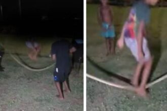 Investigan abuso animal: niños usan pitón como cuerda para saltar