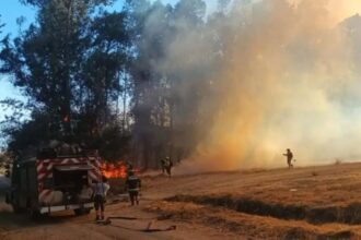 Detenidos por incendio forestal en Jardín Botánico de Talca