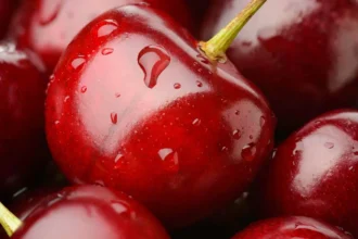 Rechazo de cerezas chilenas en China por incumplimiento de condiciones