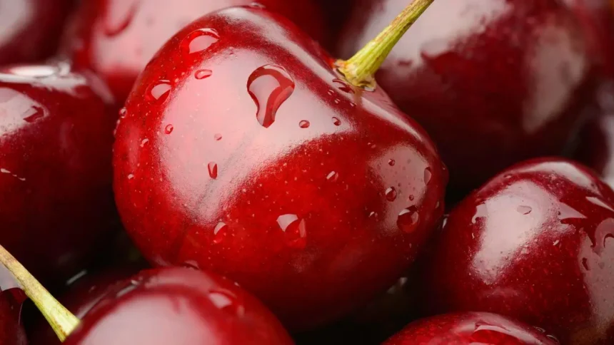 Rechazo de cerezas chilenas en China por incumplimiento de condiciones