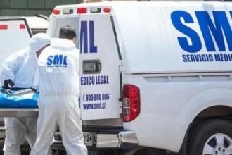 Trágico accidente: Agricultor muere tras ser aplastado por árbol en Longaví