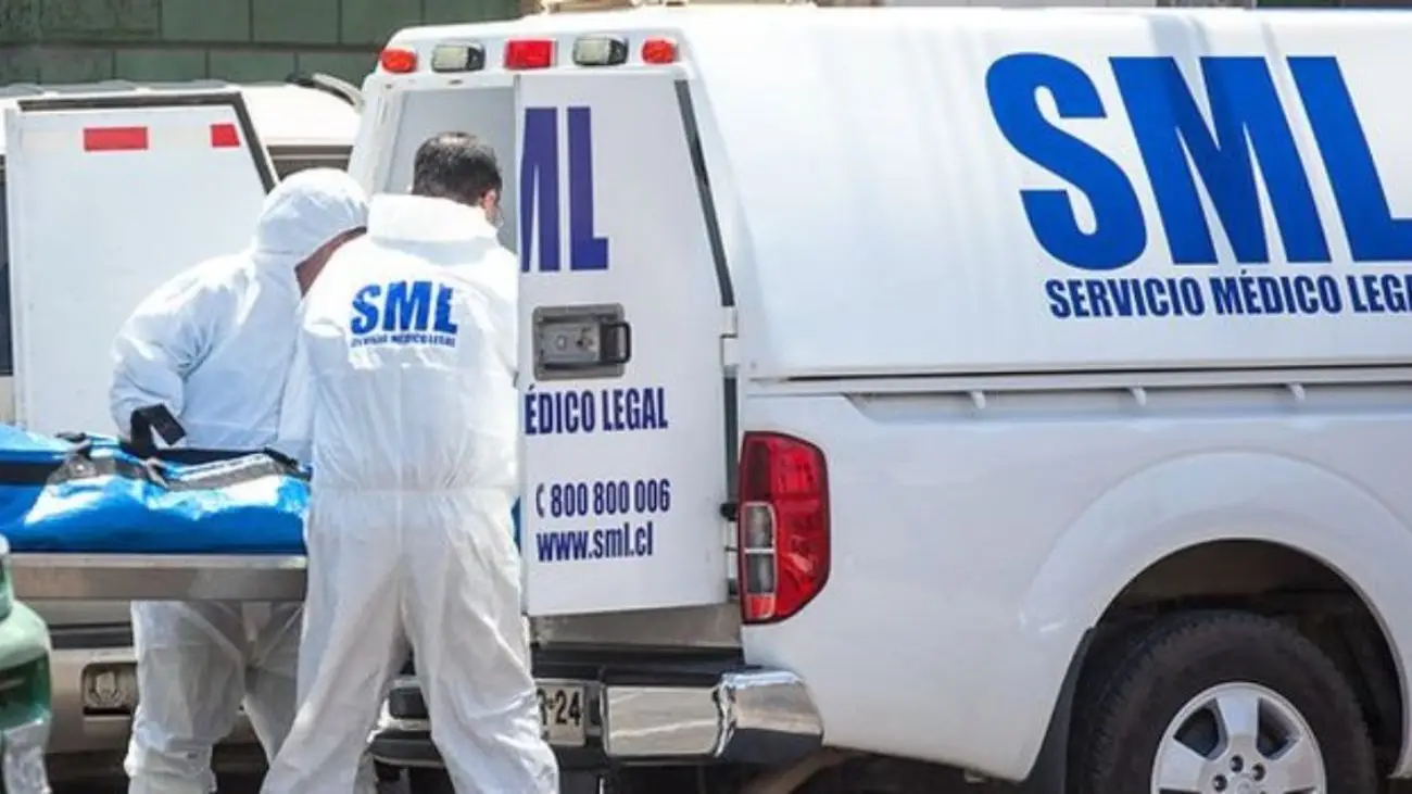 Trágico accidente: Agricultor muere tras ser aplastado por árbol en Longaví Trágico accidente: Agricultor muere tras ser aplastado por árbol en Longaví