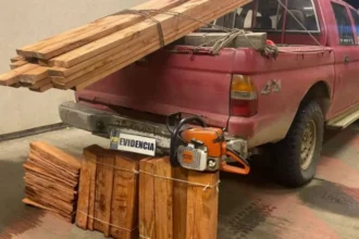 Tres detenidos por robo de madera de árboles nativos en Purranque