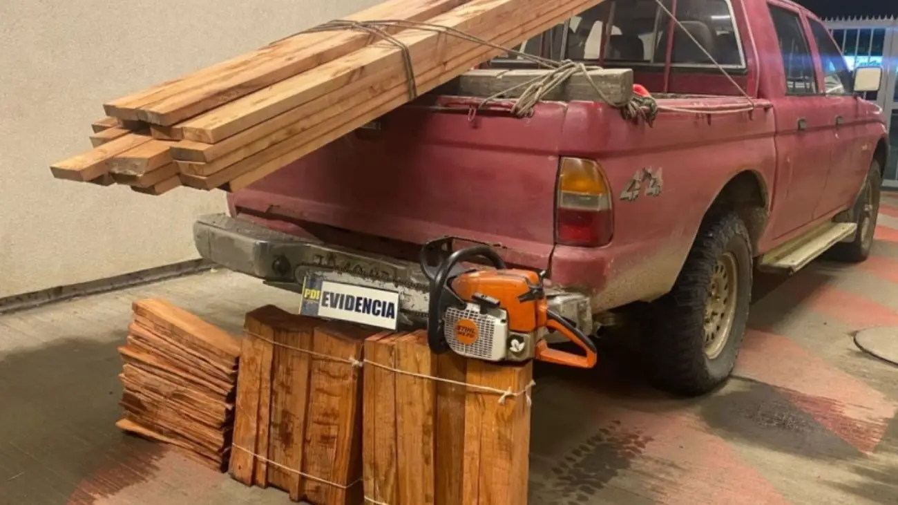 Tres detenidos por robo de madera de árboles nativos en Purranque Tres detenidos por robo de madera de árboles nativos en Purranque