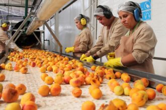 Aconcagua Foods ofrece empleos con distintos salarios en la Metropolitana