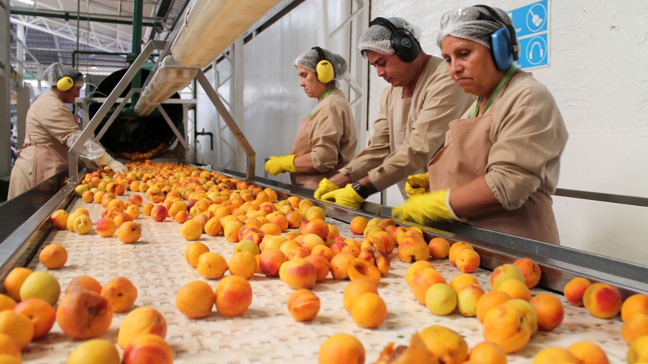Aconcagua Foods ofrece empleos con distintos salarios en la Metropolitana Aconcagua Foods ofrece empleos con distintos salarios en la Metropolitana