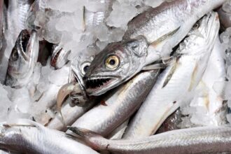 Incautadas 2 toneladas de merluza en mercado de Puerto Montt