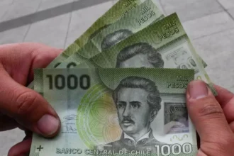 Todo lo que necesitas saber sobre el Seguro de Cesantía