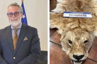 Embajador chileno investigado por contrabando de pieles de animales salvajes