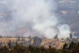 Alerta Roja en Santo Domingo: Incendio forestal en Valparaíso preocupante