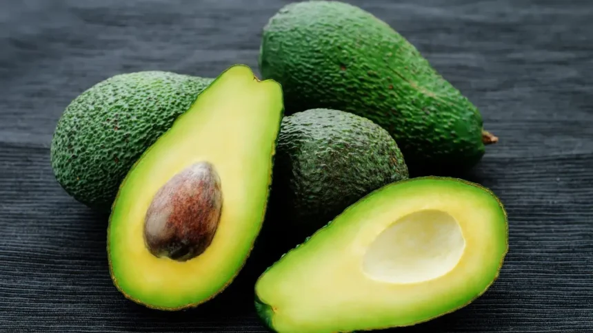 El auge de la palta en Chile: un mercado en expansión