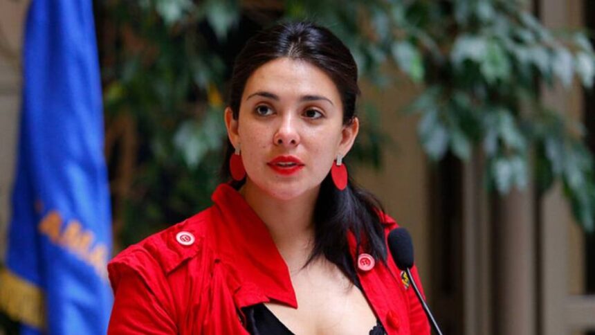 Escándalo de tráfico de influencias: Nuevos antecedentes sobre diputada Karol Cariola