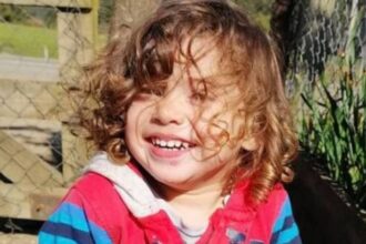 Acceso a Carpeta Investigativa en Caso Tomás Bravo: Fallo Importante