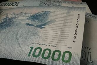 Seguro de Cesantía en Chile: red de protección para desempleados